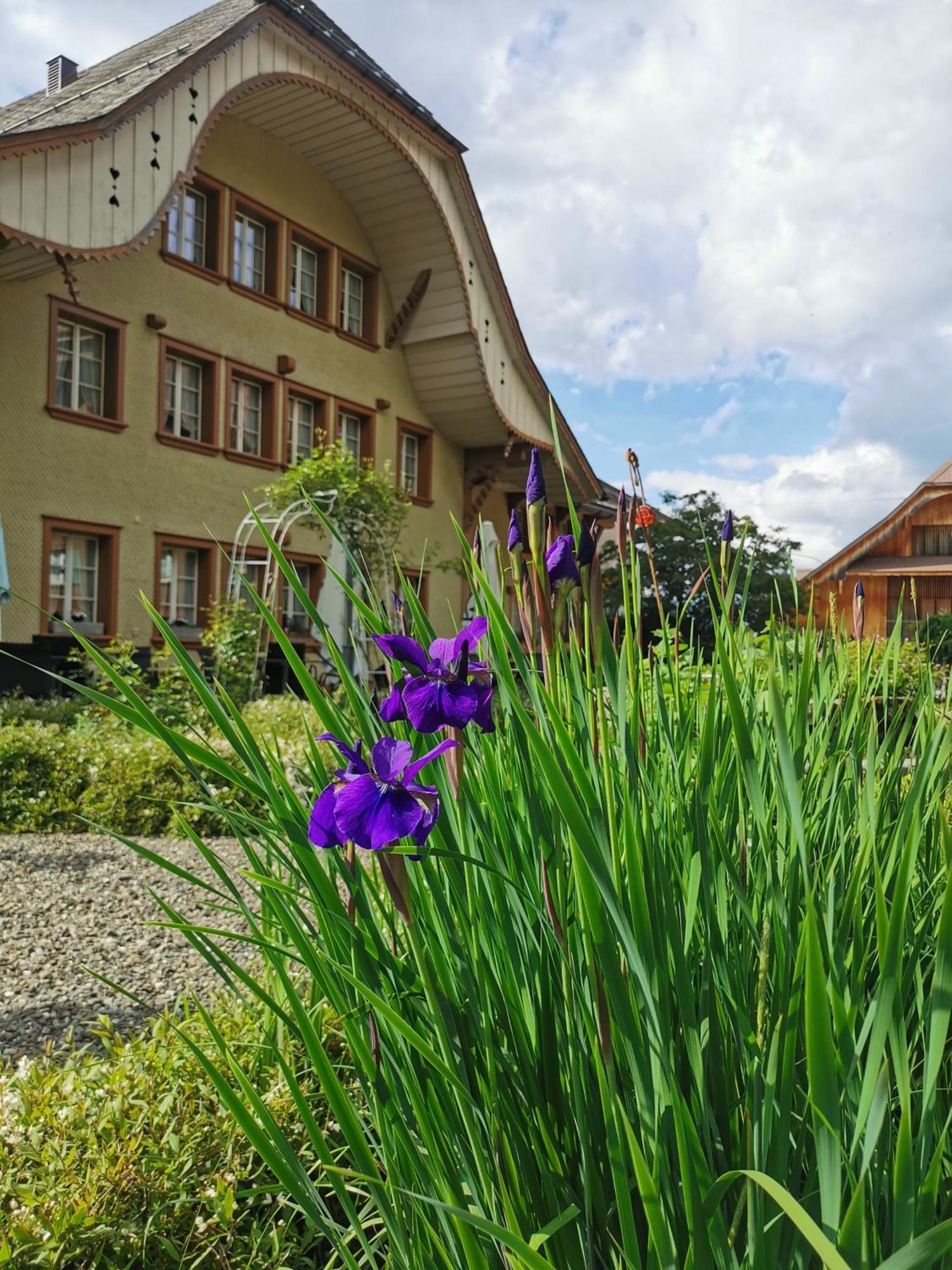 Gasthof Kreuz Marbach エクステリア 写真