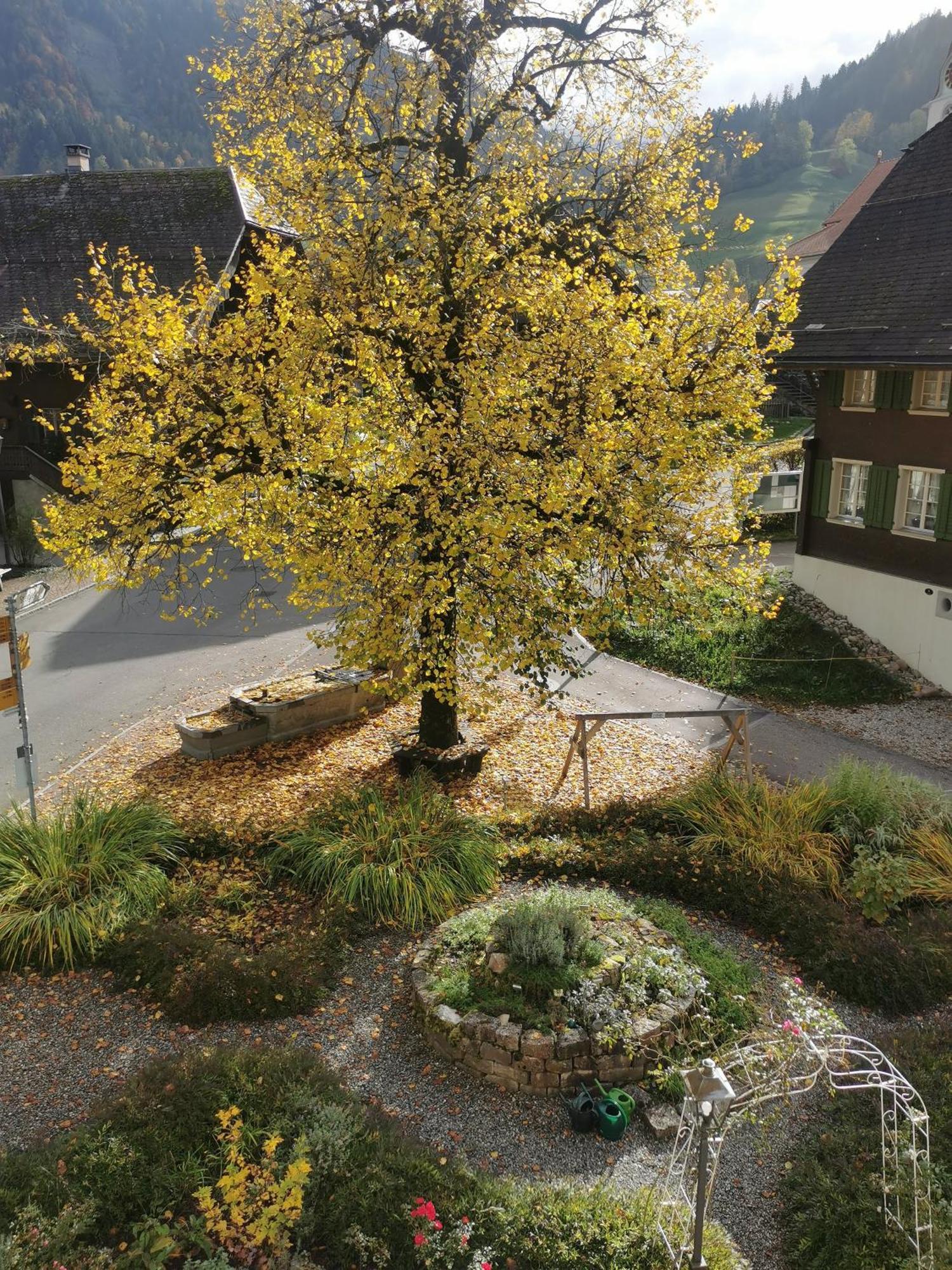 Gasthof Kreuz Marbach エクステリア 写真