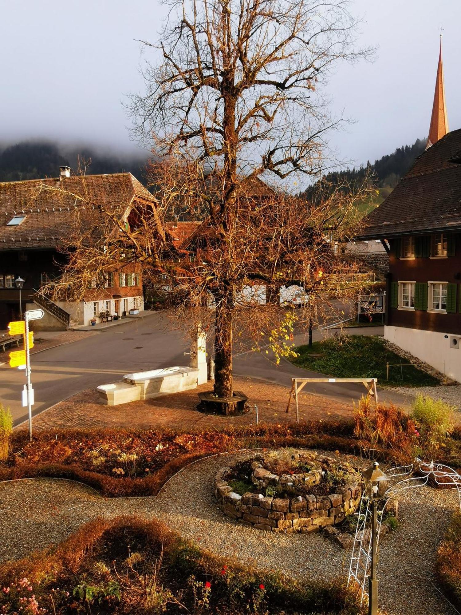 Gasthof Kreuz Marbach エクステリア 写真